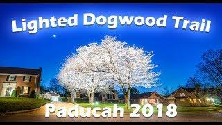 Paducah's Lighted Dogwood Trail