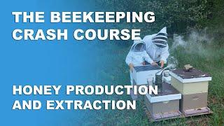 Honey Production And Extraction - Beekeeping Basics Part 10 - Beekeeping Crash Course