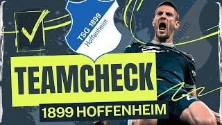 TSG Hoffenheim im Bundesliga Teamcheck 2024/25: Zieht Matarazzo den Abwehr-Joker aus dem Ärmel? 🃏