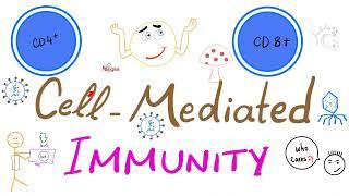 Cell-Mediated (Cellular) Immunity [aka T-cell immunity] - Physiology & Immunology