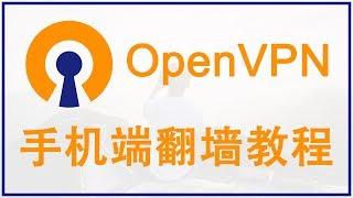 【iQiQi】#233 搬瓦工取消一键安装Shadowsocks的替代方案，一键安装OpenVPN服务器，OpenVPN iPhone和Android手机使用教程，突破防火墙限制！