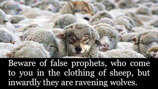 Wolf in Sheep’s Clothing