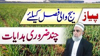 Instructions for Onion seed Crop || Crop Reformer