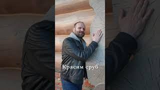 ПРАВИЛЬНАЯ ШЛИФОВКА и ПОКРАСКА СРУБА #shorts #шлифовка #покраска