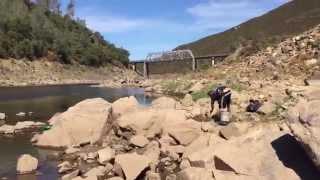 American River Gold Pickers