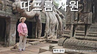 [ 캄보디아 자유 여행 ] - "ប្រាសាទតាព្រហ្ម | 따프롬 사원 | 𝐓𝐚𝐩𝐫𝐨𝐡𝐦 𝐓𝐞𝐦𝐩𝐥𝐞" #앙코르핵심투어 #스몰투어