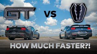 2024 Ford Mustang GT vs. Dark Horse Mustang // Stock Comparison // Dig and Roll Drag Race