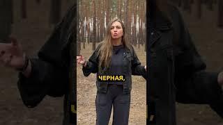 Что делает человека ведьмой? | Ведьма Елен | Эзотерический центр АЛАТЫРЬ