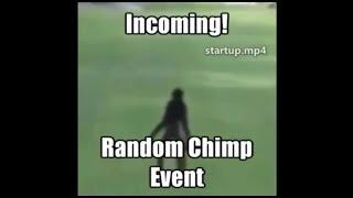 Random chimp event