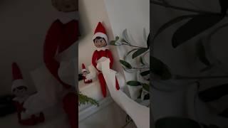 TOiLET PAPER PRANK by Snowy and Elfy - Adley Niko & Navey find DAY 7 surprise from our family elf 