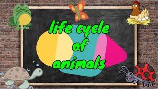 LIFE CYCLE OF ANIMALS for Kids