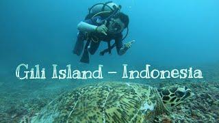 KEINDAHAN BAWAH LAUT LOMBOK! GILI TRAWANGAN - GILI MENO - GILI AIR