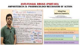 Antifungal Drugs (Part-03) Amphotericin B Pharmacology & Mechanism of Action | Antifungal Medicines