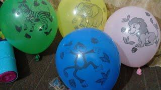 Animal Balloon Inflating