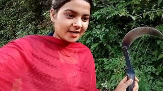 पहाड़ों के काम काज।। pahadi lifestyle vlog।। anchalranavlogs।।