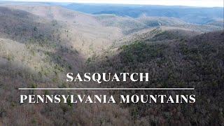 Sasquatch: Searching The Pennsylvania Mountains