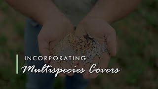 Multispecies Cover Crops