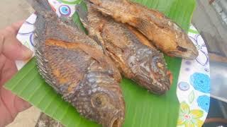 Outdoor Cooking Tilapia - Padi Chris Vlogs