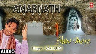 Amarnath I Shiv Bhajan I SALEEM I Full Audio Song I Shiv Mere I Amarnath Yatra Special