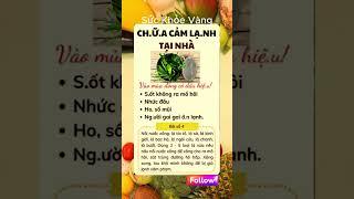 Bí Quyết Giữ Gìn Sức Khỏe Toàn Diện | Sức khỏe vàng #ChămSócSứcKhỏe #BảoVệSứcKhỏe #SốngKhỏeMỗiNgày