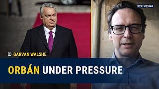 The EU has tools to act – Hungary may face real consequences | Garvan Walshe