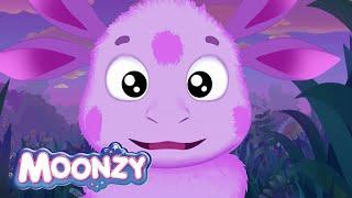 Moonzy | Luntik | Chickens and eggs  Cartoons for kids