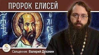 ПРОРОК ЕЛИСЕЙ. Священник Валерий Духанин