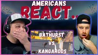 AMERICANS REACT TO DRIVERS VS. KANGAROOS | BATHURST 1000 || REAL FANS SPORTS