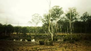 The Garden Widened :: contemplative instrumental music :: Jim Tetlow 2018