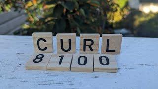 curl 8.10.0 with Daniel Stenberg