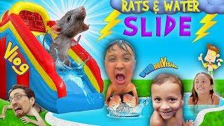 RATS & Thunderstorm! INFLATABLE SLIDE Fun! FUNnel Vision Summer Vlog