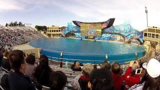 One Ocean Show with Shamu Killer Whale at San Diego Sea World, January 22, 2012