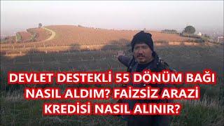 Devlet destekli 55 dönüm bağı nasıl aldım, devlet destekli arazi nasıl alınır, faizsiz arazi kredisi