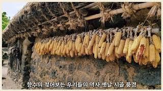 [옛날 초가집 추억여행~불효자는 웁니다 (경음악)] 추억여행 한번 떠나 볼까요.