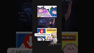 Мектеп OnLine - Мы поможем тебе улучшить знания и оценки!онлайнуроки#вопросы#ответы#легко#бесплатно#