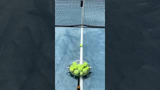 Tennis Ball Prodigy Elite: Expert Collection Made Easy #smalleyes #fishing #sportsequipment