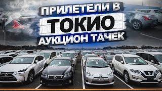 Прилетели в Токио скупать тачки на аукционах!