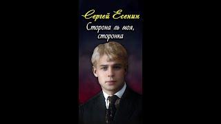 Сторона ль моя, сторонка - Сергей Есенин (читает Кирилл Радциг) #short