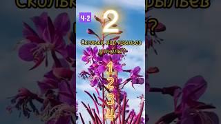 УЗНАЙ НОВОЕ  (часть-2)  #shorts #развитие #опрос #видеодляглухих #узнайновое