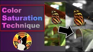 Pixelmator Pro 3 - Creating better images with a Color Pop Desaturation Technique