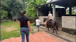 A TUYẾN cùng vợ sang thái nguyên xem trường học cho con gái,tuyển ngựa cưỡi giống đẹp @vituyen3657