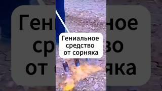 Средство от сорняка без химии!