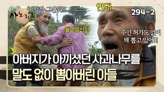 "내 반평생을 몸 바쳐서 일하던 자리인데...!!" 아버지가 아낀 사과나무를 말도 없이 뽑아버린 아들 | 사노라면 294-2