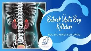Böbrek Üstü Bezi Hastalıkları