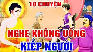 6 Chuyện Nhân Quả, Nghe KHÔNG UỔNG 1 Kiếp Người Rất Hay - Nhân Quả Báo Ứng 2024 | Gieo Nhân Gặt Quả