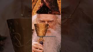 Dumbledore is fascinating in Harry Potter