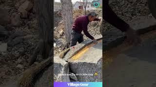 Stone Age Tech STILL Used?! Is Grinding Corn This Way Pointless or Inspiring? HUGE DEBATE! #farming