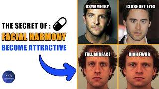 The Secret Behind Facial Harmony For Attractive Looks (blackpill)