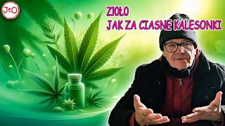 Zl0L0 - Jak za ciasne kalesonki