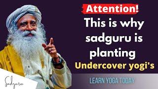 Sadhguru reveals his mission | isha Undercover yogis | Mystic Guru